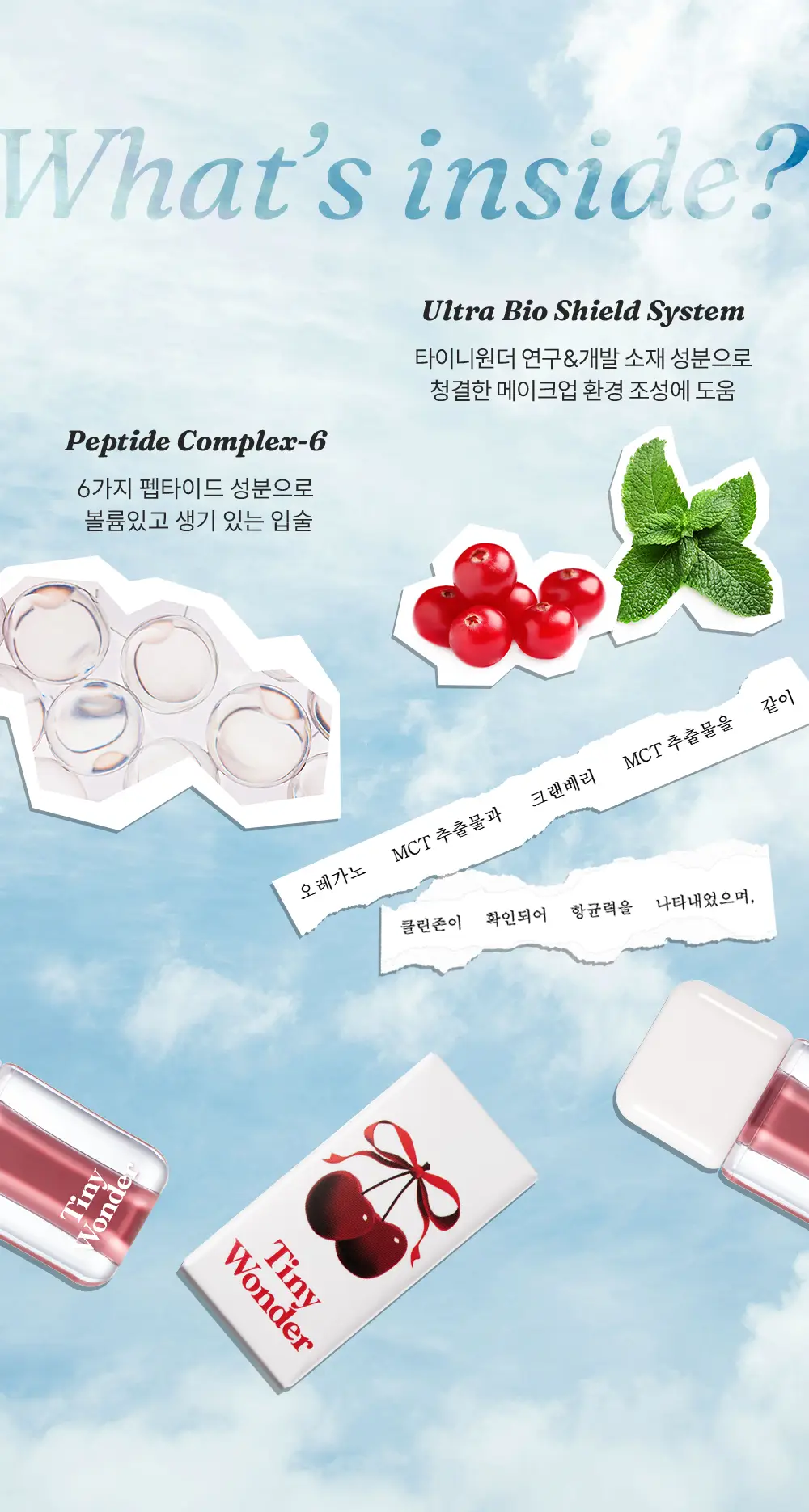 [다윤쌤 공동개발] 타이니원더 하이퍼 듀이 립 틴트 3.4g 6종 상세페이지 20